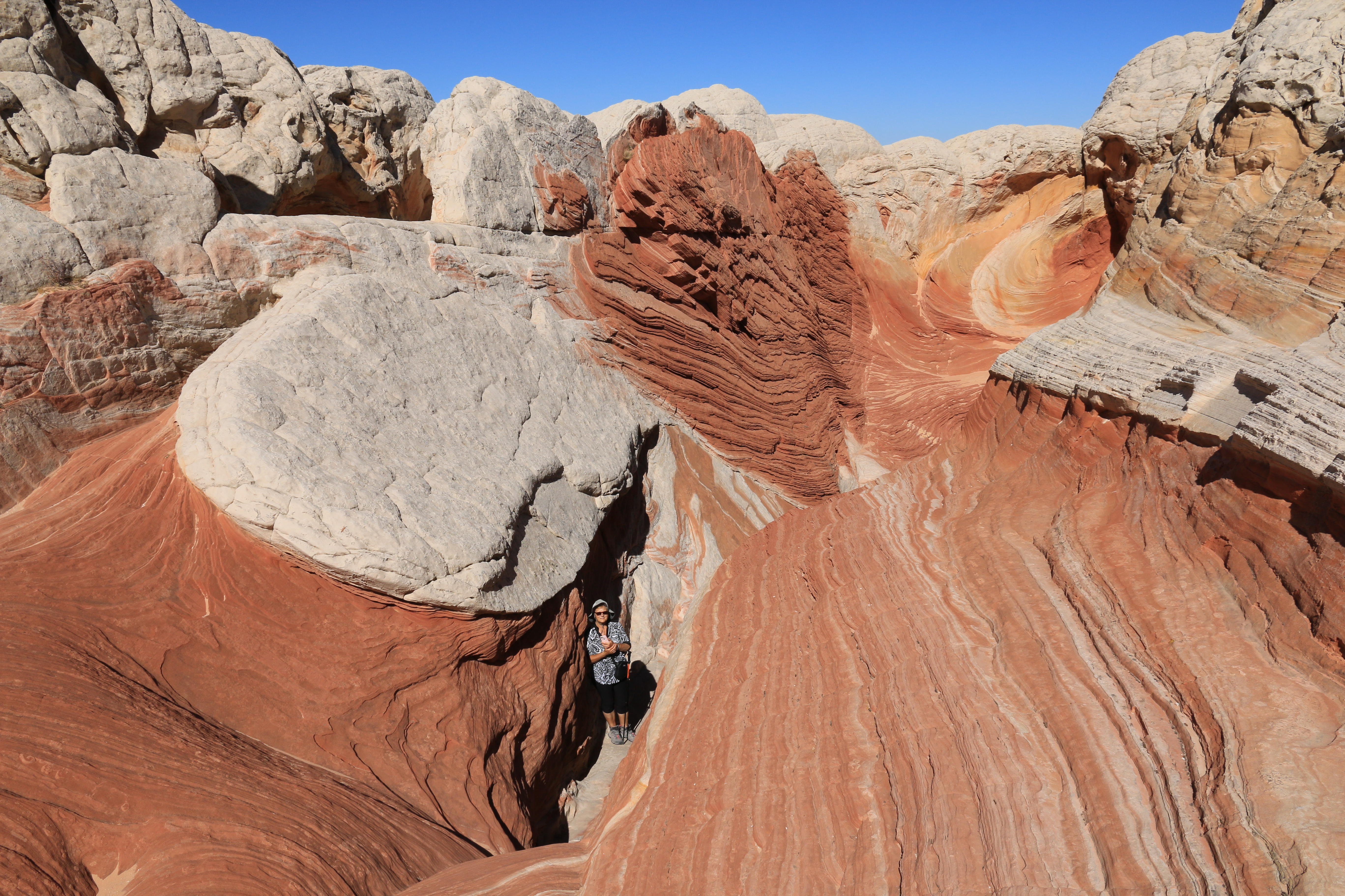 Vermillion Cliffs NM